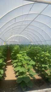 �������� ����� Vatan Plastik 150 ��� � �������� ����� �� 5 ���� - ����������� 1