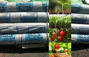 �������� ����� Vatan Plastik - ����������� 1