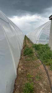 �������� ����� Vatan Plastik - �������� ����� ������ 2023 - ����������� 1