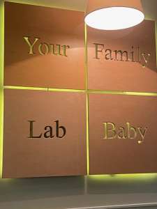 �������� ����� Your Family � ������ ����� ������� - ����������� 1