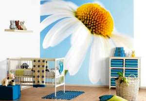 �������� ����� � ����� �������� - ����������� 1