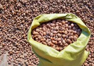 �������� ����� � ������� - ����������� 1