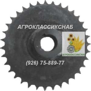 �������� ����� �6-��� ��� �������� ��������. - ����������� 1