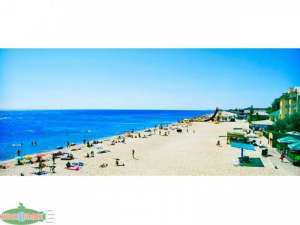 �������� ����� �� ������ ����. ����� "���� � ���". ������-2019 - ����������� 1