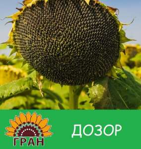 �������� ����� / �� ������ ����� - ����������� 1