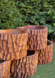 �������� ����� ��� ������ CORTECCIA - ����������� 1