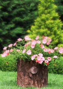 �������� ����� ��� ������ ROVERE - ����������� 1