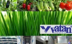 �������� ����� ��� ������� ������ - ����������� 1