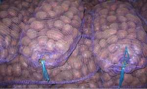 �������� ����� ���� - ����������� 1