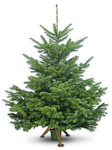 �������� ����� ���� �� ������ � ��! - ����������� 1