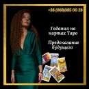 �������� ����� ����. �������� �������� ����. ������ ����. - ����������� 1