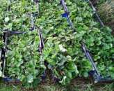 ��������: �����, ����� � �������!!! �������� ���������. �������� ����� - ����������� 3