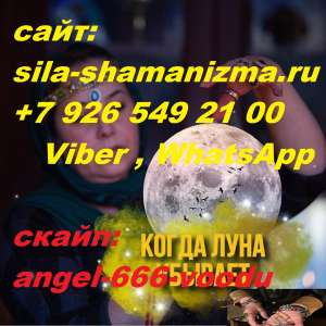 �������� �����: - ����� �� ����� - �������� �� �������� -"���� �����" ����������� �������� - �������� �� ������ - �������� - ����������� 1