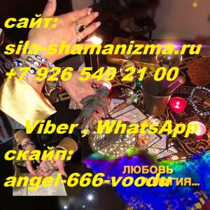 �������� �����: - ����� �� ����� - �������� �� �������� -"���� �����" ����������� �������� - �������� �� ������ - �������� - ����������� 1