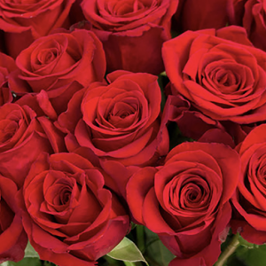 �������� ����-� ����� ��� ���� ������! � ������ ���! +380677716389 - ����������� 1