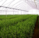 ������� � ����������: �������� ����� ����� ������