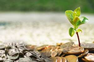 �������� �����. ����� ������. ��� ������ - ����������� 1