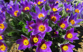 �������� �����, ����� �������� � ���������. ������� �������� ��������, ��������� ��������� - ����������� 1