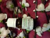 �������� ����� �����, ��������� ����������� 10 �� - ����������� 2