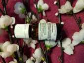 �������� ����� �����, ��������� ����������� 10 �� - ����������� 3