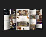 �������� �����. �����. ���������.�������������. �������� . ���������� ������ - ����������� 3