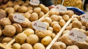 �������� �����. ������ - ����������� 1