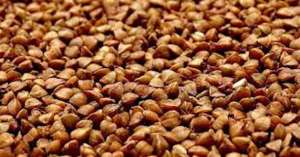 �������� ����� ������ ������ ������ - ����������� 1