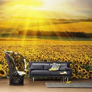 �������� �����. ������ ������� ����. - ����������� 1