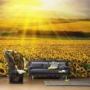 ������� � ����������: �������� �����. ������ ������� ����.