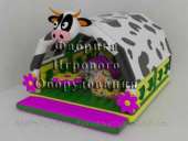 �������� ����� �������. ������� ��� - �������/�������