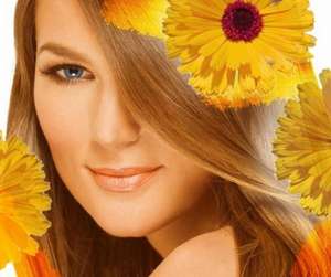 �������� ����� ������� - ����������� 1