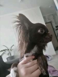 �������� ����� ������� - ����������� 1