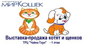 �������� ����� ������� ����� - ����������� 1