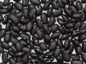 �������� ����� ������� ����� ����� - ����������� 1