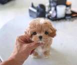 �������� ����� ������� ������ �� ����������� - ����������� 2