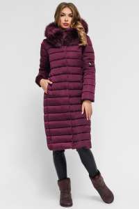 �������� ����� ������� ������, ��������� ���� 2018-2019 - ����������� 1