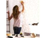 ������� � ����������: �������� ����� ������� ��������� ����������