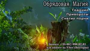 ��������, �����, ������� . ���������� ������o�. - ����������� 1