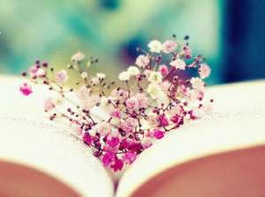 �������� �����. �������� �� ����. - ����������� 1