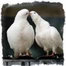 ������� � ����������: �������� �����. �������� �� ����.