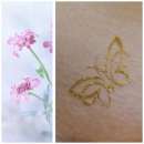 �������� �����, �������� �������, ���������, ����� - ����������� 2