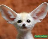 ��������, ����� ��������� ���������, ��� ����� � ����� � ����� ����� ����