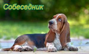 ��������, ����� ��������� ���������, ��� ����� �� ������ � ����� ����� ���� - ����������� 1