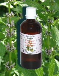 �������� ����� ���������� ���������� � ���������� ������� 100�� - ����������� 1