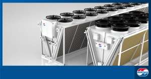 �������� ����� ����������� GUNTNER - ����������� 1