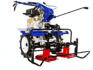 �������� �����, ����������� ��� ����������� ���������� - ����������� 1