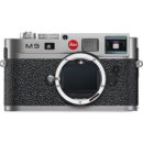 ������� � ����������: �������� ������ @ (holesale) ���� �� �������