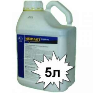 �������� ������ - ����������� 1