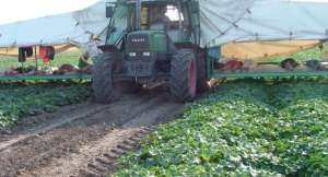 �������� ������ � ������, ������ ������ - ����������� 1