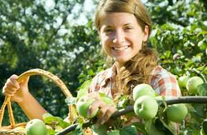 �������� ������ � �������. �������. - ����������� 1